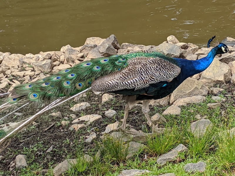 Thompson Park - Monroe Township, NJ