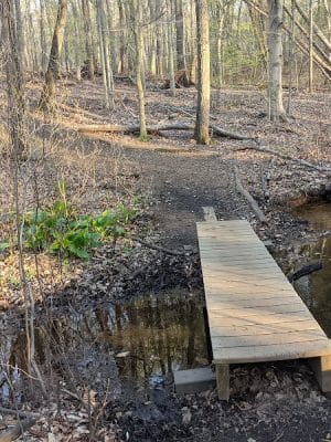 Thompson Park