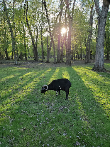 Thompson Park
