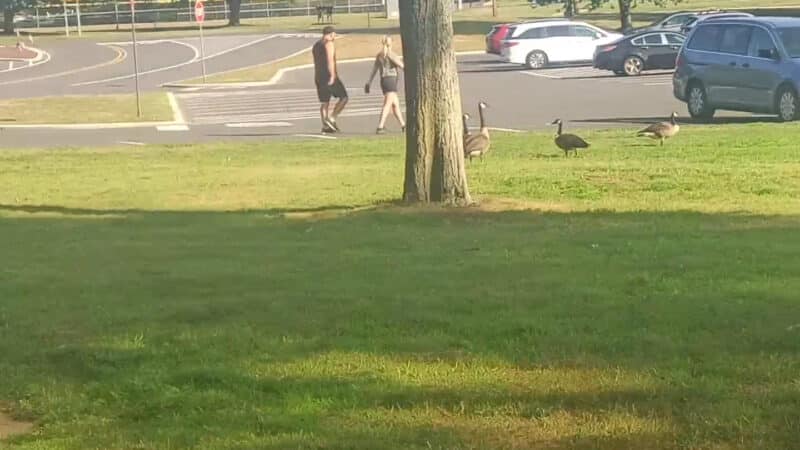 Thompson Park - Monroe Township, NJ