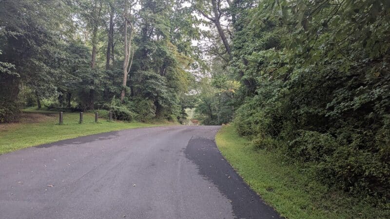 Thompson Park - Monroe Township, NJ