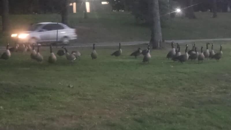 Thompson Park - Monroe Township, NJ