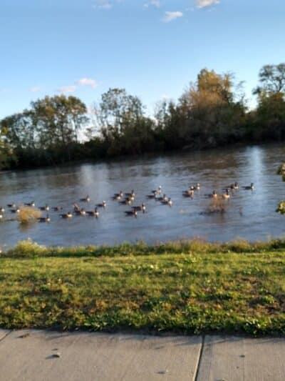Veteran's Park - Monroe,
