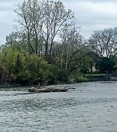 Veteran's Park - Monroe,