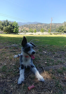 Kiwanis Park