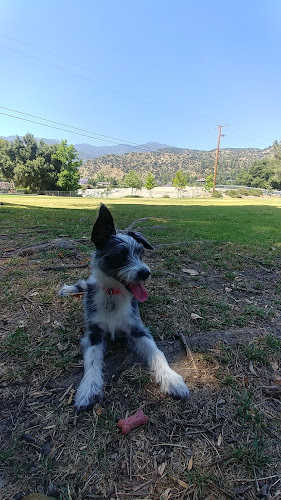 Kiwanis Park