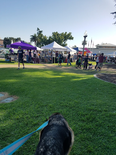 Library Park