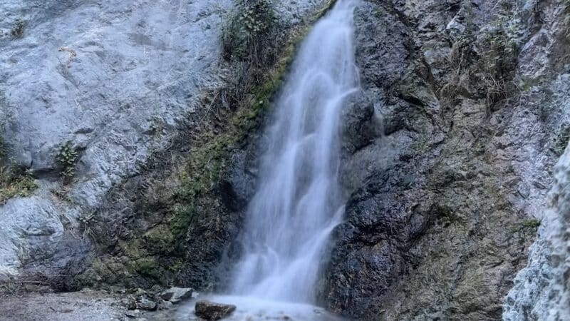 Monrovia Canyon Park - Monrovia, CA
