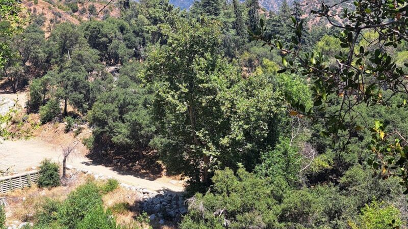 Monrovia Canyon Park - Monrovia, CA