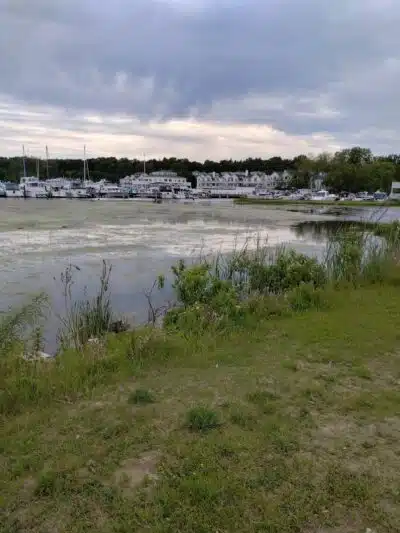 Montague Township Park - Montague,