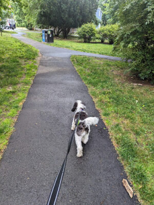Porter Park