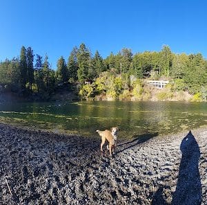 Patterson Point Preserve