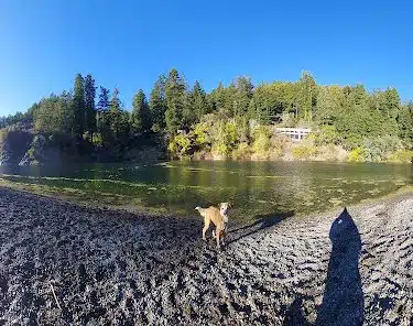 Patterson Point Preserve