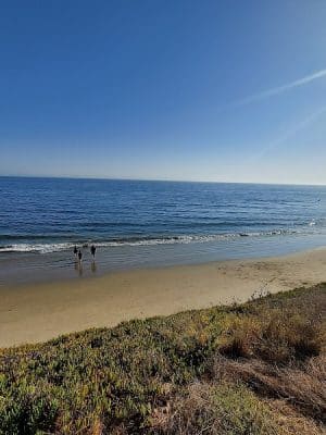 Butterfly Beach