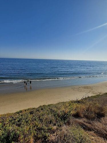 Butterfly Beach