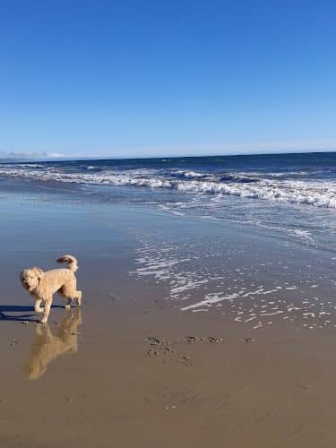 Butterfly Beach