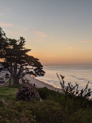Butterfly Beach