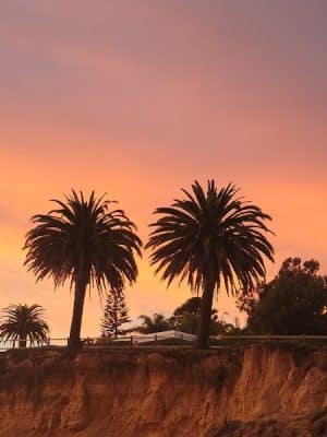Butterfly Beach