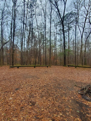 Ocmulgee River Trail