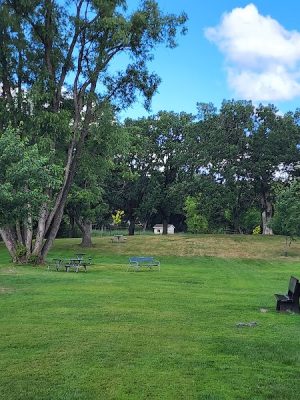 Monticello Dog Park