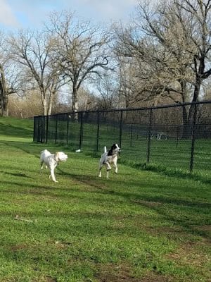 Monticello Dog Park