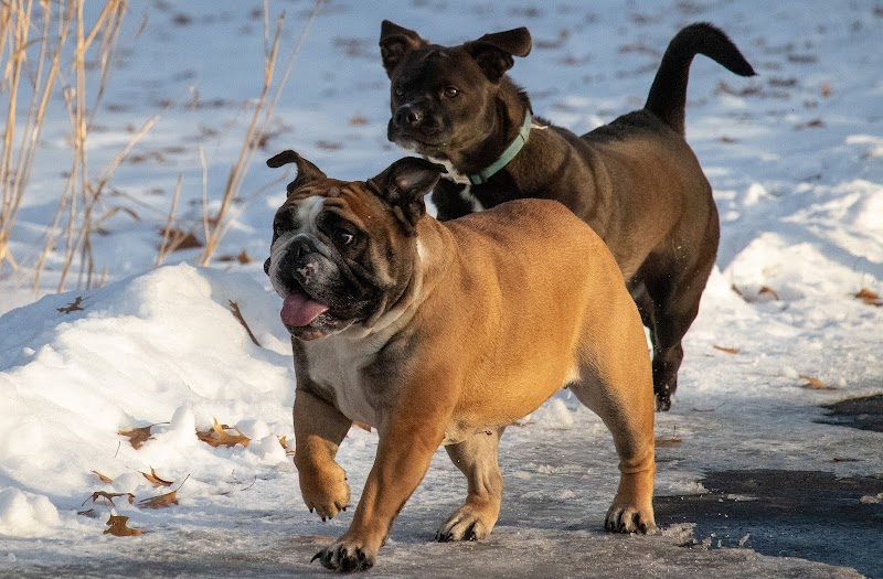 Monticello Dog Park - Monticello, MN