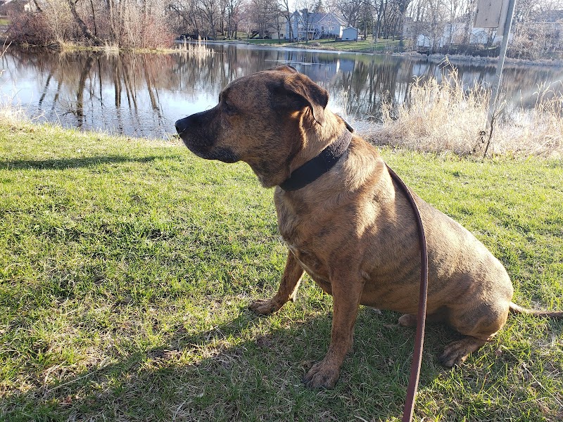 Monticello Dog Park - Monticello, MN