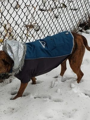 Monticello Dog Park