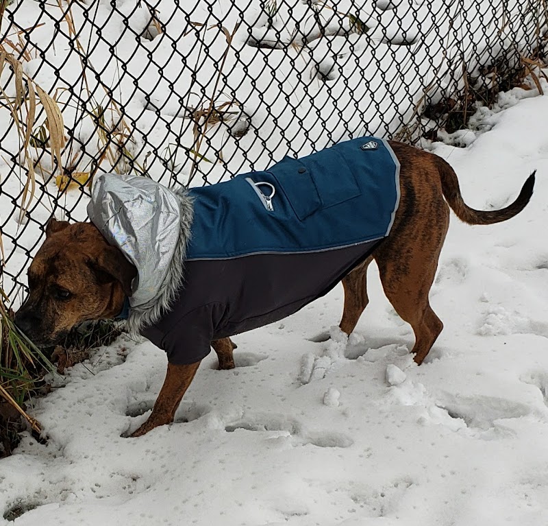 Monticello Dog Park - Monticello, MN