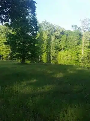 Atwood Water Park