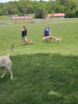 Dog River Field
