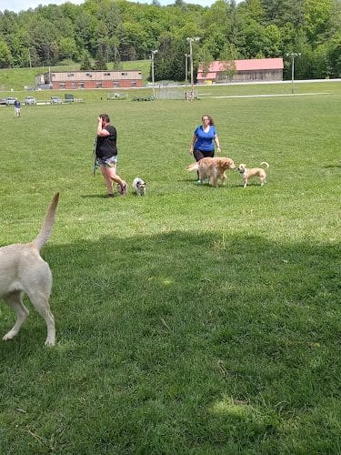Dog River Field