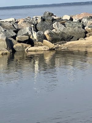 Beach Park