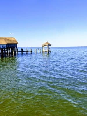 Beach Park