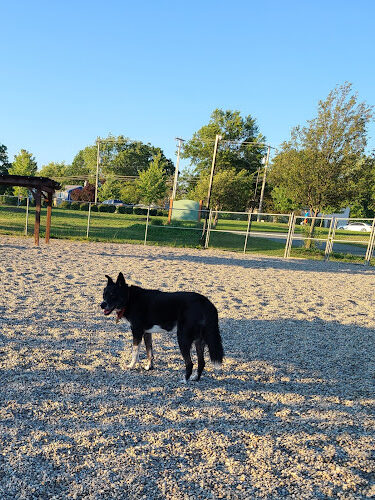 Montville Dog Park