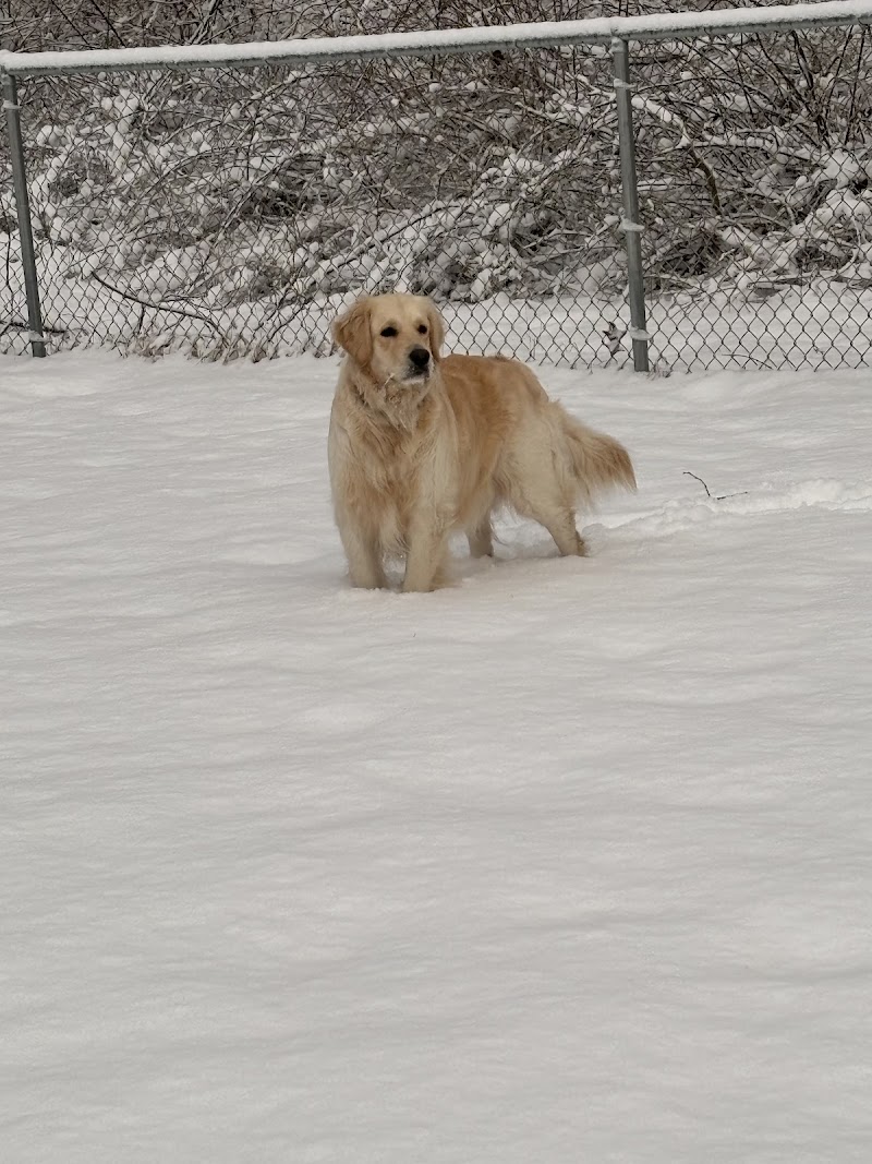 East Haddam Dog Park - Moodus, CT