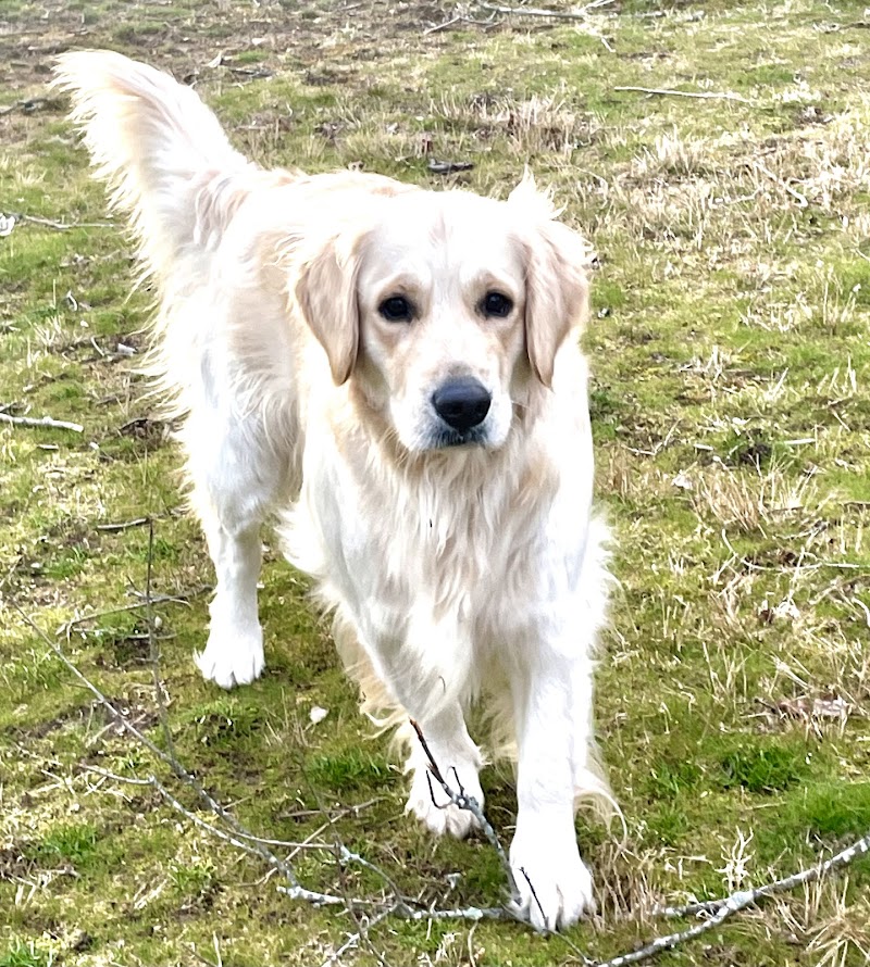 East Haddam Dog Park - Moodus, CT