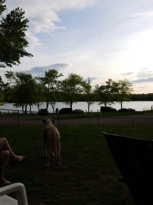 East Haddam Dog Park