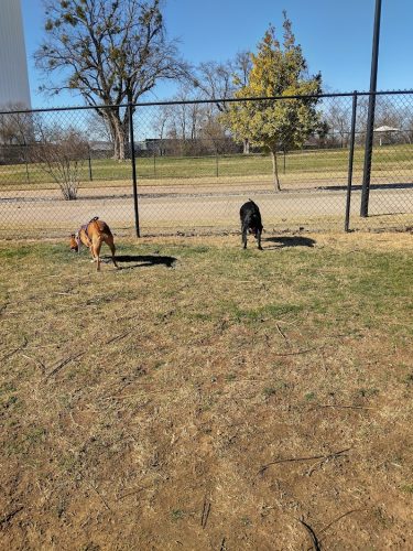 Happy Tails Dog Park