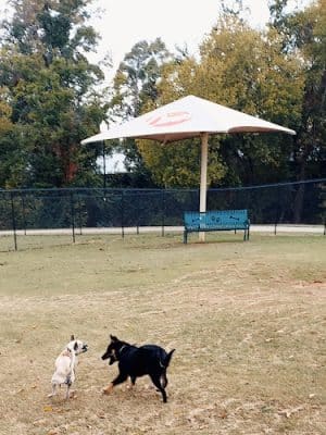 Happy Tails Dog Park
