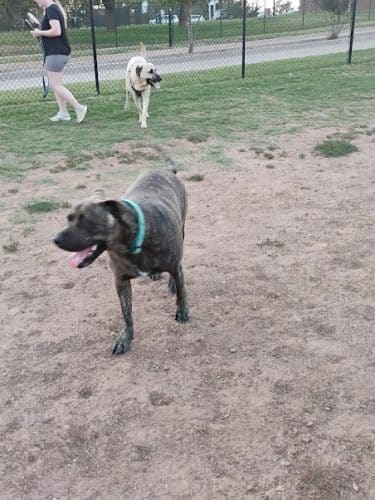 Happy Tails Dog Park