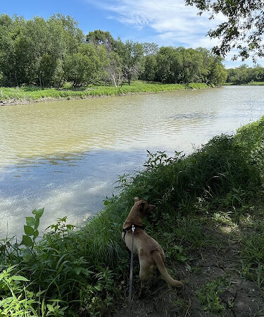 River Oaks Dog Park