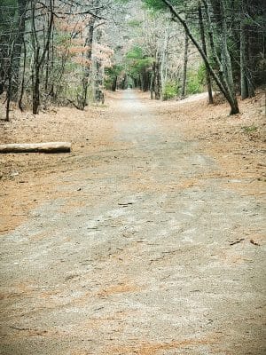 Moosup Valley State Park Trail