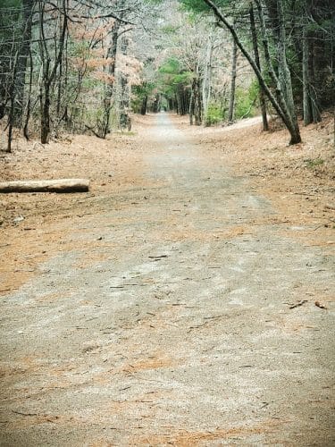 Moosup Valley State Park Trail
