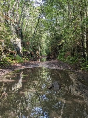 Moosup Valley State Park Trail