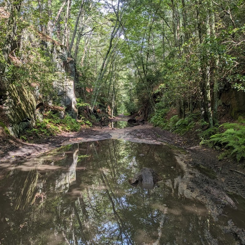 Moosup Valley State Park Trail - Moosup, CT
