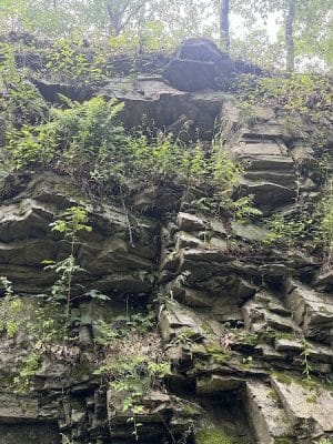 Moosup Valley State Park Trail