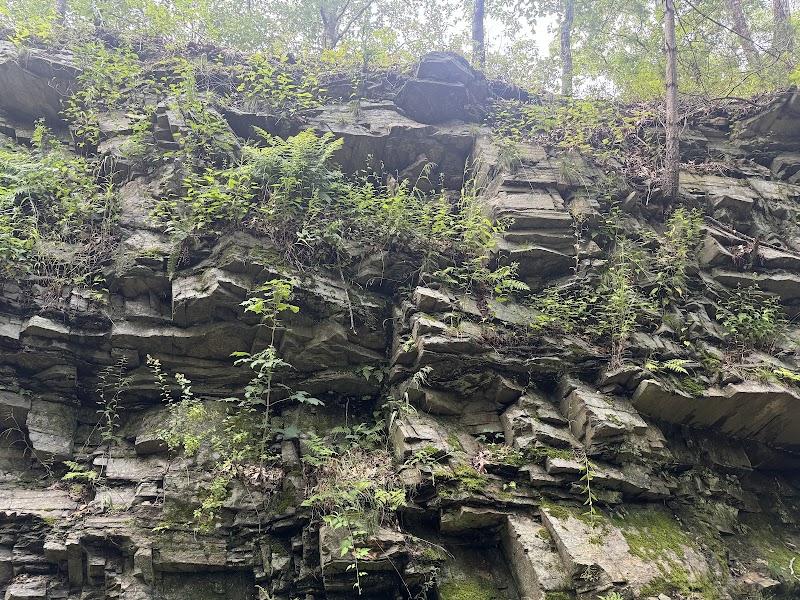 Moosup Valley State Park Trail - Moosup, CT