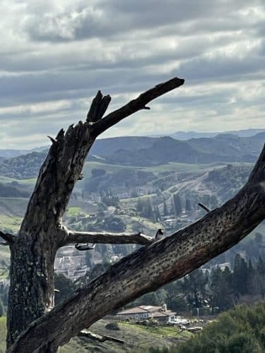 Mulholland Ridge Open Space