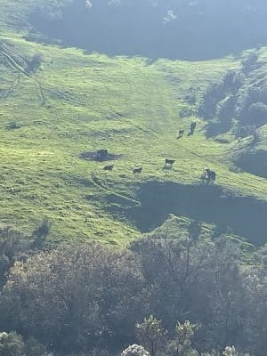 Mulholland Ridge Open Space